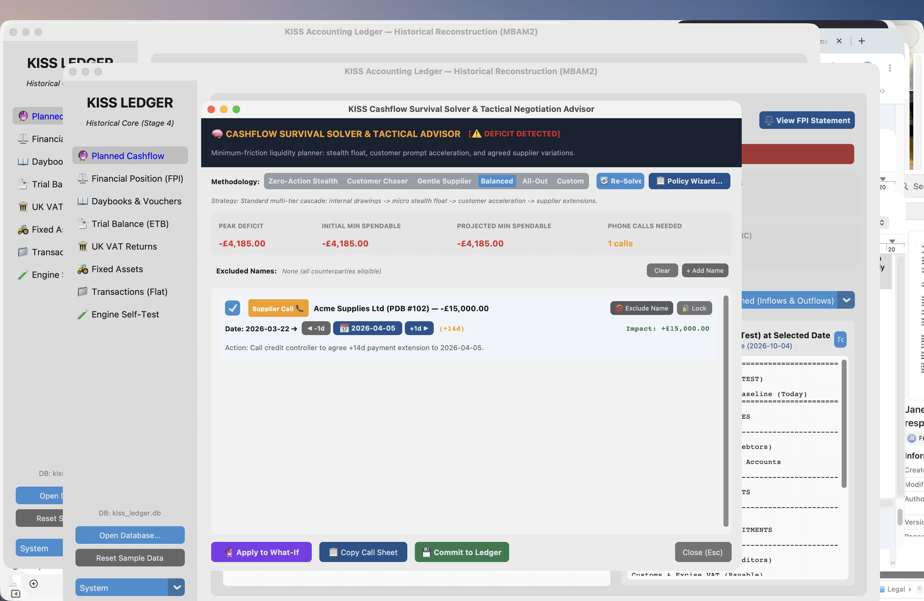 Cashflow Survival Solver